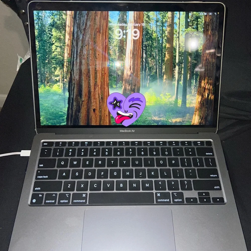 Apple MacBook Air Laptop